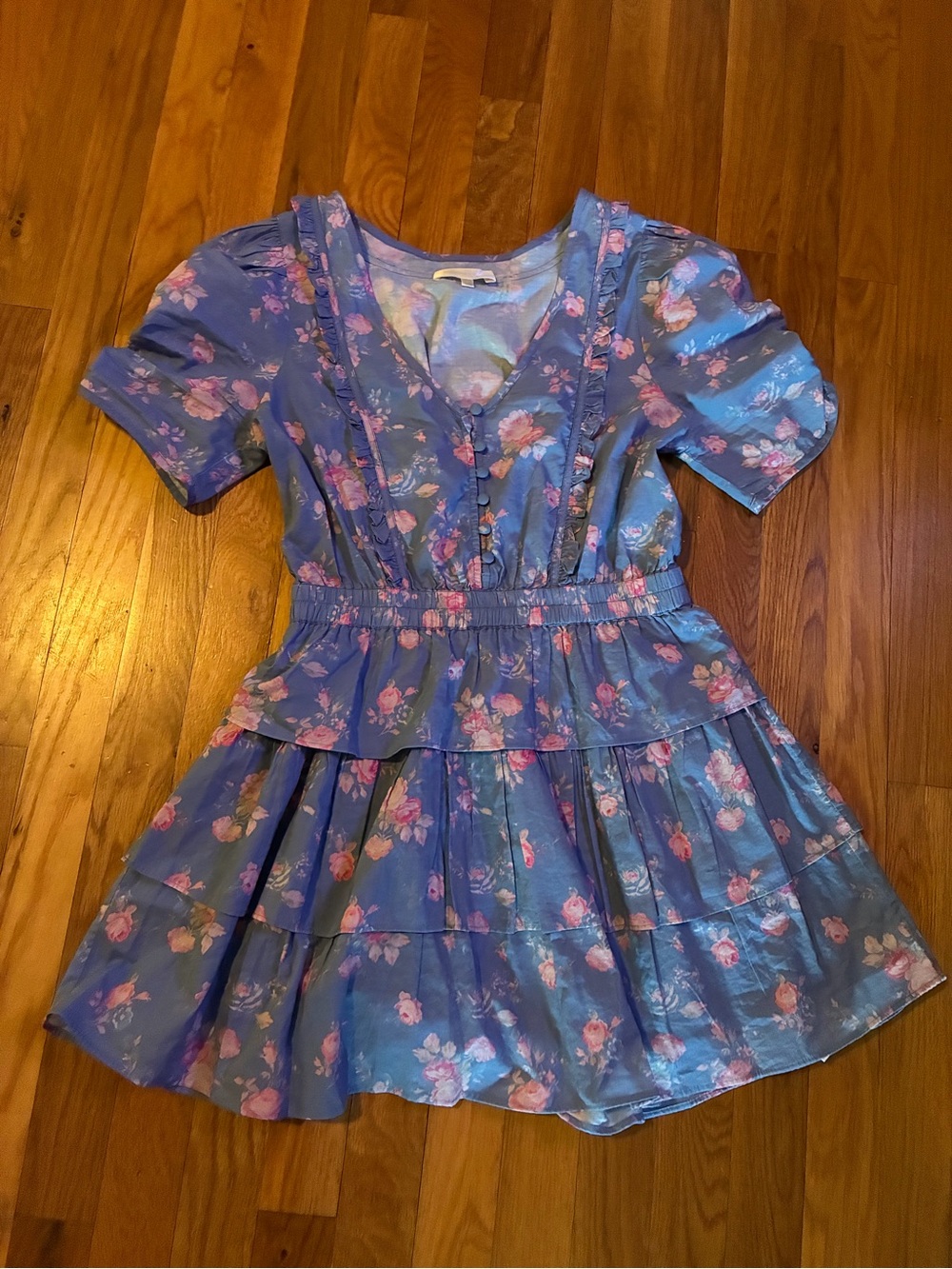 LoveShackFancy Blue Floral Mini Dress with Pink Roses
